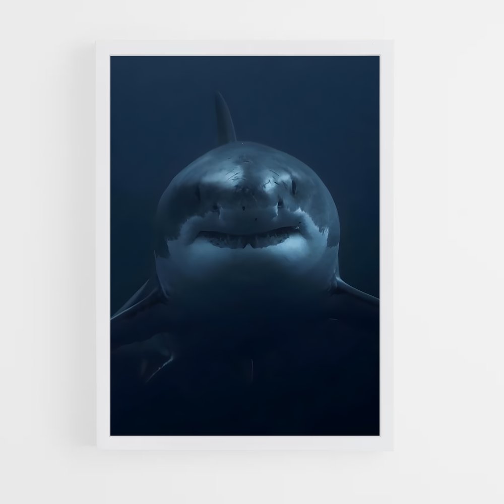 Poster Rencontres Carcharodon – affiche Plongée sous-marine (vue 3)